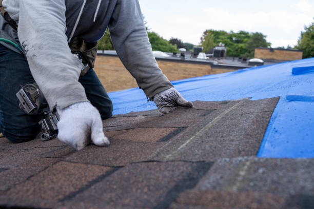 Quick and Trustworthy Emergency Roof Repair Services in Louisville, KY